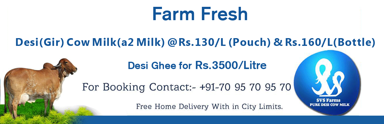 Desi Cow Milk Suppliers in Hyderabad